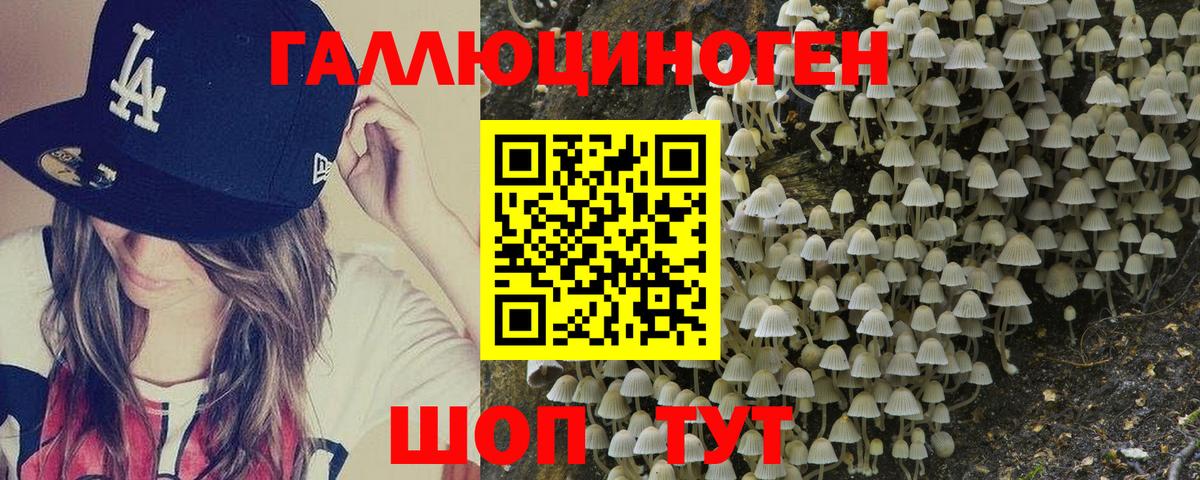 Ликино-Дулёво  закладки  Вход с VPN  Псилоцибиновые грибы мухоморы 